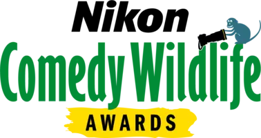 credit logo